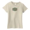 Ladies Organic Cotton T Shirt Thumbnail