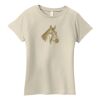 Ladies Organic Cotton T Shirt Thumbnail