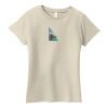 Ladies Organic Cotton T Shirt Thumbnail