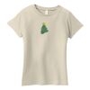 Ladies Organic Cotton T Shirt Thumbnail