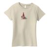 Ladies Organic Cotton T Shirt Thumbnail