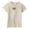 Ladies Organic Cotton T Shirt Thumbnail