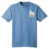 Young Mens Tri Blend Crew Neck Tee Thumbnail