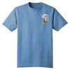 Young Mens Tri Blend Crew Neck Tee Thumbnail