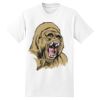 Beefy T® Born To Be Worn 100% Cotton T Shirt Thumbnail