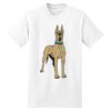 Beefy T® Born To Be Worn 100% Cotton T Shirt Thumbnail