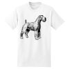 Beefy T® Born To Be Worn 100% Cotton T Shirt Thumbnail