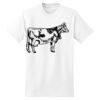 Beefy T® Born To Be Worn 100% Cotton T Shirt Thumbnail