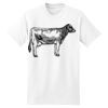 Beefy T® Born To Be Worn 100% Cotton T Shirt Thumbnail