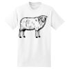 Beefy T® Born To Be Worn 100% Cotton T Shirt Thumbnail
