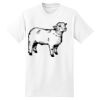 Beefy T® Born To Be Worn 100% Cotton T Shirt Thumbnail