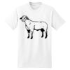 Beefy T® Born To Be Worn 100% Cotton T Shirt Thumbnail