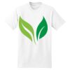 Beefy T® Born To Be Worn 100% Cotton T Shirt Thumbnail